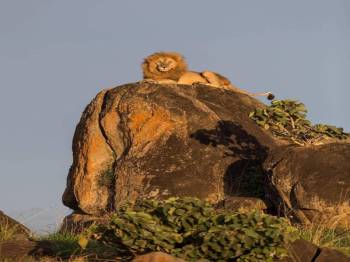 Mind Range 11 Days Kenya - Tanzania Safari Tour