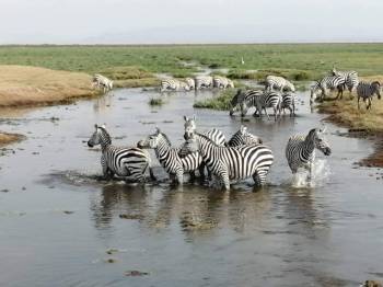 6 Days Kenya Safari Tour
