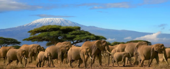2-Day Amboseli National Park Tour