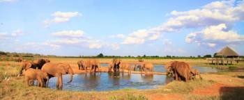 2 Day Tsavo National Parks - East - West Tour