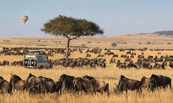 3 Days Maasai Mara Safari Tour