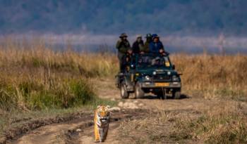 Jim Corbett - Nainital Tour 4N - 5D