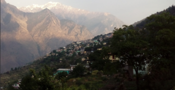 Auli Tour Packages