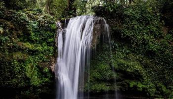 Jim Corbett 2 Night & 3 Days