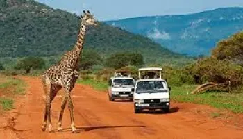 3 Days 2 Nights Tsavo East & Tsavo West