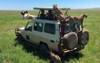 Ngorongoro Tour Packages