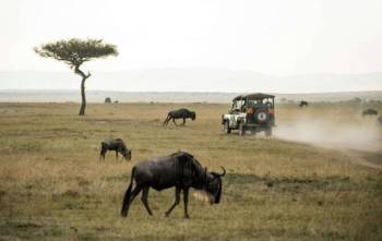 5Day Mombasa Tsavo Amboseli Nairobi Safari Tour