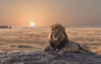 Arusha Tour Packages