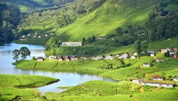 Quotation For Kerala Promo Package