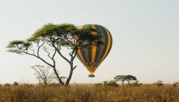 Big Game Safari – Mara River migration – 10 Days Safari