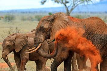 Arusha Tour Packages