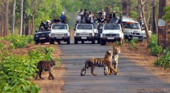 5 Days 4 Nights Jim Corbett - Nainital Tour