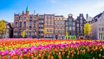Amsterdam - Netherlands 2 Days Tour