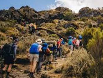 8 Days Kilimanjaro Umbwe Route Trek Tour
