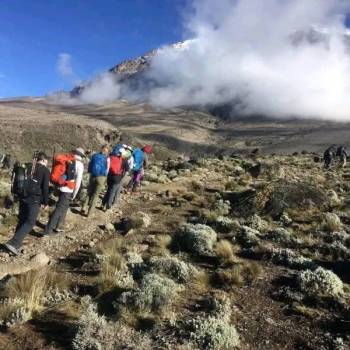 7 Days Kilimanjaro Marangu Route Trek Tour