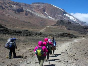 7 Days Kilimanjaro Lemosho Route Trek Tour