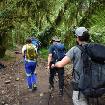 Kilimanjaro Machame Route And Wildlife Safari - 9 Day Adventure Tour
