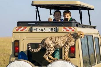 Ngorongoro Crater Day Trip