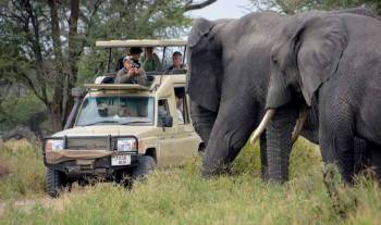 Tarangire National Park Tour