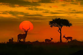Epic South Africa – 10-Day Adventure