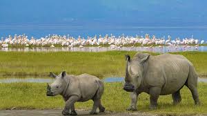 Kenya 7 Day Safari & Beach Escape