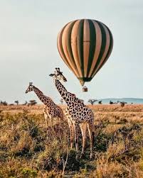 Arusha Tour Packages