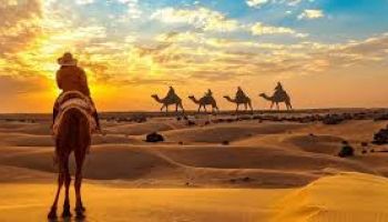 Rajasthan Jaipur(2N),  Bikaner(1N),  Jaisalmer(2N),  Jodhpur(1N),  Udaipur(2N)  Package