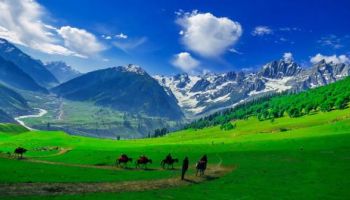 02Nights 03 Days Patnitop Holiday Package