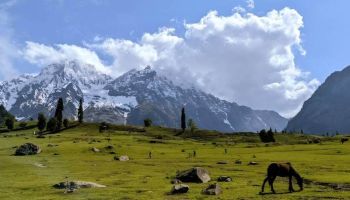 Kashmir with Vaishno Devi | 7 Nights 8 Days Holiday Package