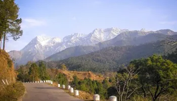 Bir Billing & Palampur Adventure Tour Package by Volvo