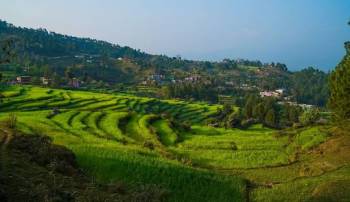 03 Nights 04 Days Nainital Holiday Package By Cab
