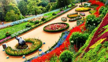 2 Nights /3 Days Ooty Tour Package
