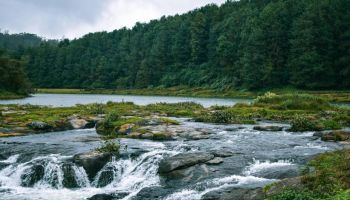 2 NIGHTS / 3 DAYS Valparai, Athirapalli  Adventure Tour Package