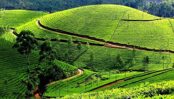 2 NIGHTS / 3 DAYS Valparai, Athirapalli  Adventure Tour Package