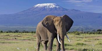 8 Days Tanzania Luxury Safari The Northern Tanzania Explore Tour