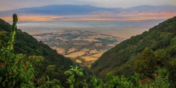 6 Days Tanzania Lodge Safari Wildebeest Migration Tour