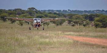 3 Day Tanzania Fly-In And Out Safari Tour