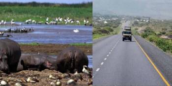 Manyara Tour Packages