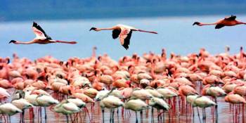 Ngorongoro Tour Packages