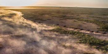 8 Days Serengeti Photography Tour