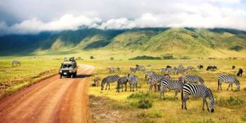 Manyara Tour Packages