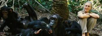 3 Days - Mahale Mountains National Park Tour