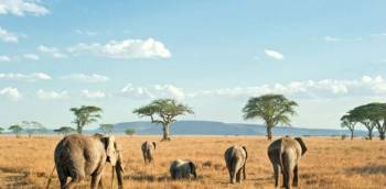 Kanungu Tour Packages