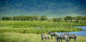 Kampala Tour Packages