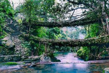 6 Night 7 Day Assam - Meghalaya Wonders Tour