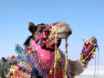 3 Night 4 Days Bhuj - Mandvi Tour