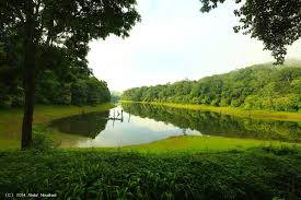 Thekkady Tour Packages