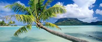 Kalpitty Tour Packages