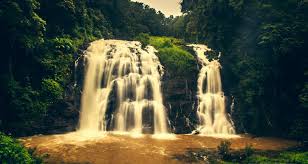 Wayanad - Ooty - Coorg And Mysore Grand Tour 6 Nights 7 Days Wayanad - Ooty - Coorg And Mysore Grand Tour 6 Nights 7 Days