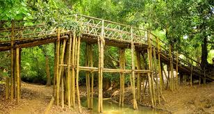 Wayanad And Coorg Adventure 4 Nights - 5 Days Tour Wayanad And Coorg Adventure 4 Nights - 5 Days Tour